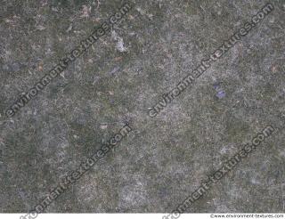 Photo Textures of Ground Grass Frozen